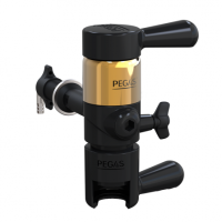 PEGAS Evolution Gold в Уфе